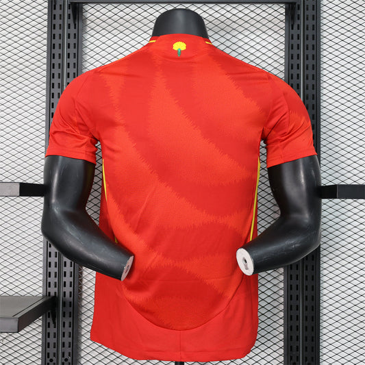 Spain Home Kit 24-25